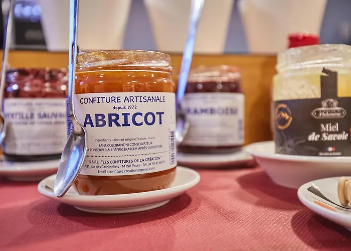 Apart Otel Odalys Isatis Chamonix